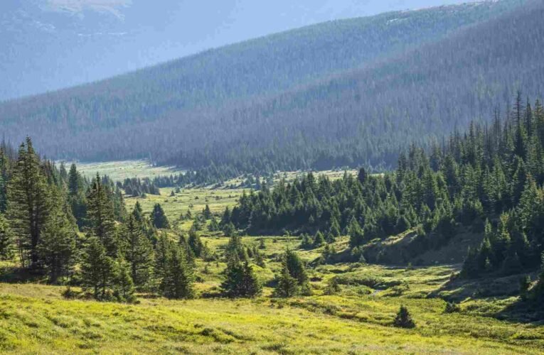 Algumas zonas do Parque Nacional das Montanhas Rochosas estarão encerradas devido a um projeto de repovoamento de peixes. De 24 a 30 de agosto
