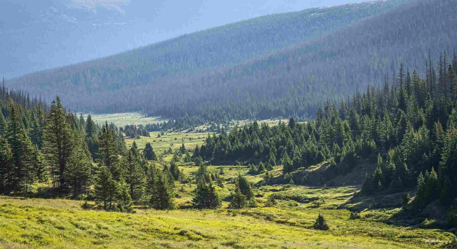 Algumas zonas do Parque Nacional das Montanhas Rochosas estarão encerradas devido a um projeto de repovoamento de peixes. De 24 a 30 de agosto