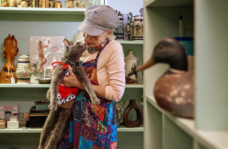 O gato caolho e celebridade de Long Beach, Likho, comemora seu 15º aniversário