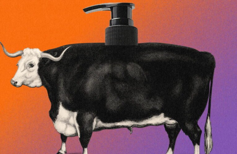 O tratamento da pele com sebo bovino realmente funciona? Dermatologistas avaliam