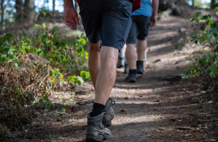 Planejando uma caminhada no outono? Veja como baixar um mapa para o seu iPhone