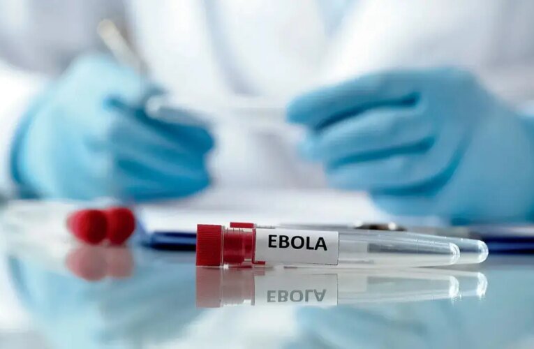 Quénia relata segundo caso de Ébola, sem evidência de propagação mais ampla na comunidade